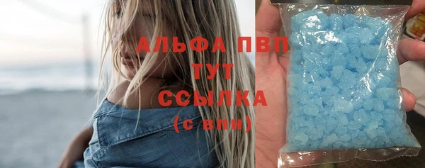 индика Дмитровск