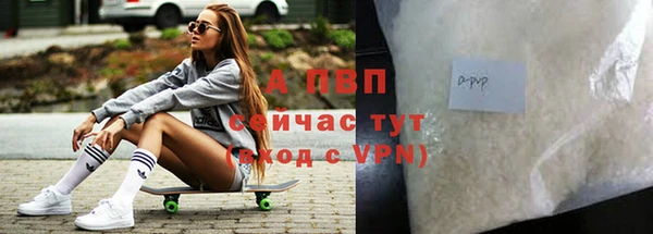 дмт Дмитриев