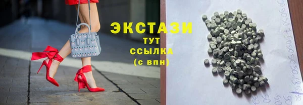 индика Дмитровск