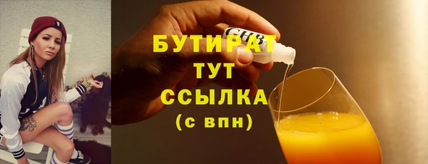 индика Дмитровск