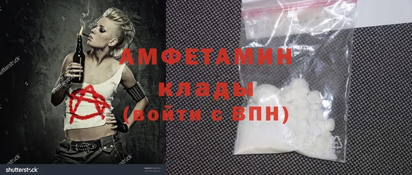 индика Дмитровск