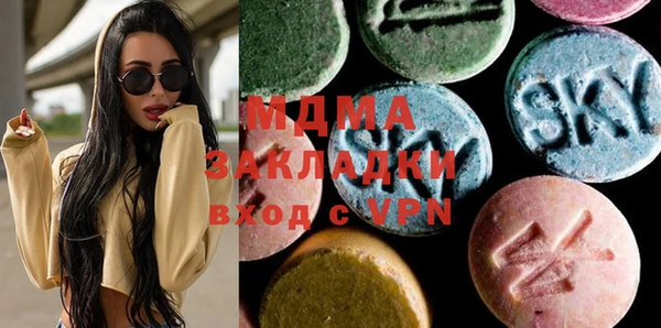 индика Дмитровск
