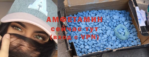 индика Дмитровск