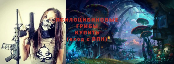 дмт Дмитриев