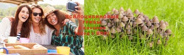 индика Дмитровск