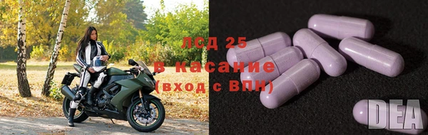 индика Дмитровск