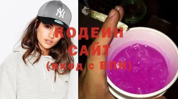 индика Дмитровск