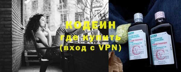 индика Дмитровск