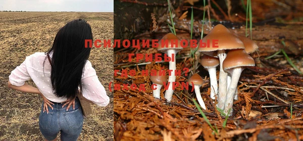 прущий лед Дмитров