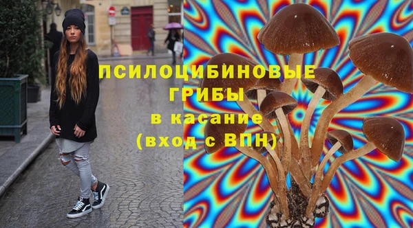 прущий лед Дмитров