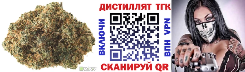 мега онион  Бородино  ТГК концентрат 