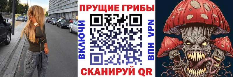 продажа наркотиков  Бородино  нарко площадка Telegram  Галлюциногенные грибы Cubensis 